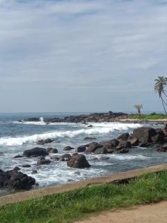 Pearl bay homestay - 6