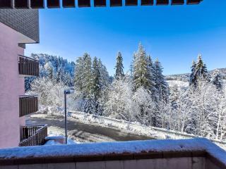 Studio Résidence des Montagnes by Interhome - 7