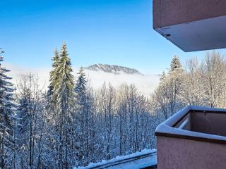 Studio Résidence des Montagnes by Interhome - 4