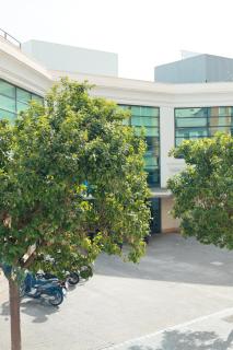 Apartamentos Océanos - 1