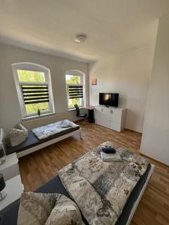 FLEX Aparts - große, möblierte 3-Raum Wohnung in Zwickau - 0