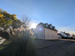 Landhaus Hotel Müller - Ringheim - 7