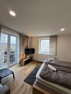 Plně vybavený krásný apartmán 1kk s balkonem, výhledem - 7