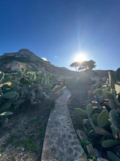 CasAmare - 9