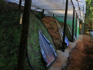 Crossroads house - 9