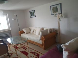 Apartment in Würzburg - near the city center - 1