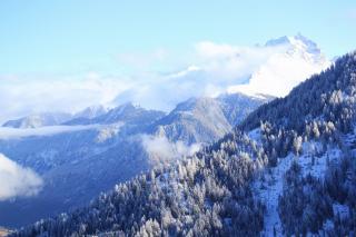 Maiensäss Stafel 45 - 9