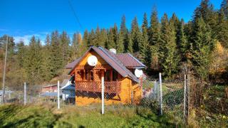 Sadyba Karpaty - 0