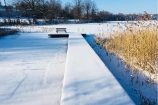 Siedlisko Dzika Kaczka - 1