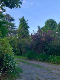 Cabaña en el lago - 4