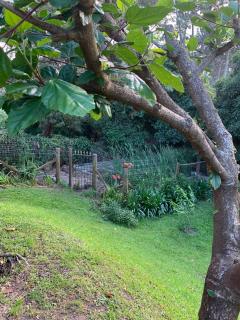 Cabaña en el lago - 3