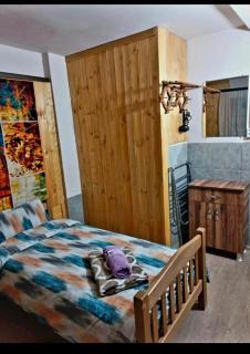 Piligrim 2 Apartament Tbilisi - Tbilisi - 3