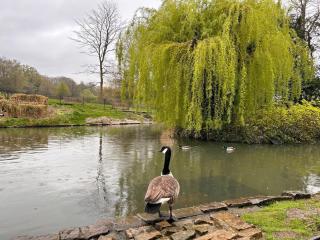 Spacious Renovated Flat by Hampstead - 6