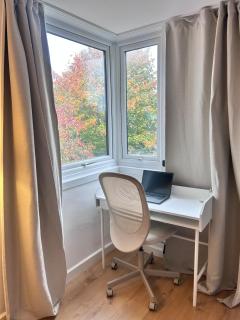 Spacious Renovated Flat by Hampstead - 5