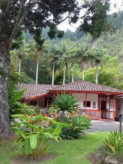 Hostal Rio Arabia - Valle De Cocora HOTEL - Salento - 0
