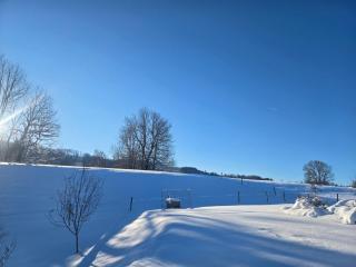 La maison d'Elodie - 8