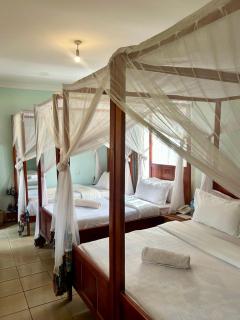 Patamu Lodge & Safaris - 4