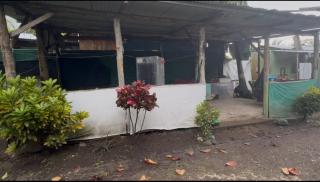 Villa Ale camping - 7