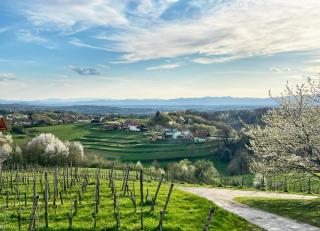 Apartment Angelina - 9