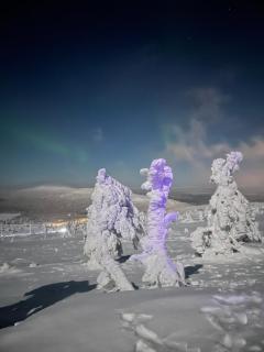 Levi center, cozy and convenient apartment with sauna - Levi - 9