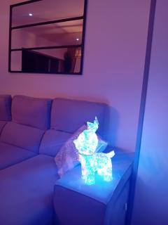 T2 cosy plénitude h24 wifi parking privé Netflix - 7