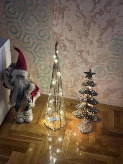 Apartman Happy Moments Kraljevo - 3