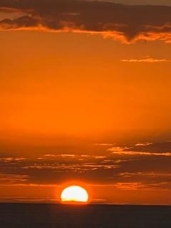 TOI ET MOI DOWNTOWN-Guests speek for us! - 5