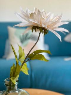 Großzügige FeWo mit Bergblick am Tegernsee - 6
