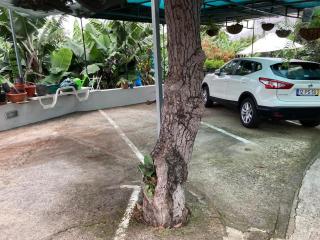 Tabua Village Madeira - 9