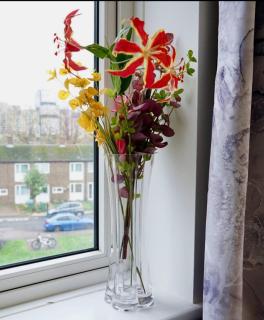 Cozy 2-Bed Escape in Blackheath - Londra - 4
