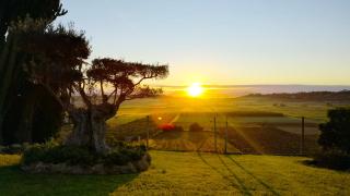 Es puig den Morro - 5