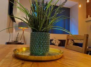 Spacious City Centre Apartment With Free Parking - 2