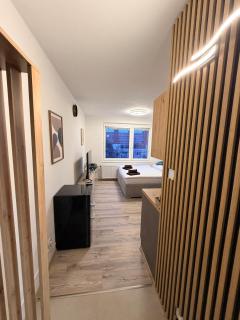 SkyView Studio Vlčince with private parking - Žilina - 6