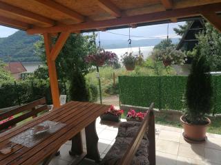 Vikendica Dunav i SAVA - 1