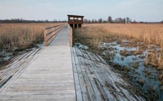 House by the Śliwno-Waniewo footbridge, close to the park - 2