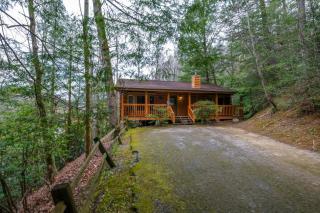 2BR GBurg log cabin- hot tub, dog friendly! - 7