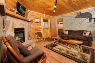 2BR GBurg log cabin- hot tub, dog friendly! - 3