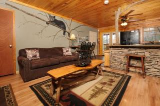 2BR GBurg log cabin- hot tub, dog friendly! - 2