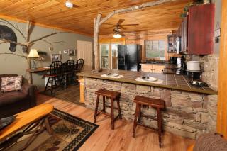 2BR GBurg log cabin- hot tub, dog friendly! - 1