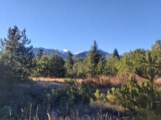 Tranquility Apartment Pirin Golf - 3