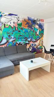 Cosy 3 - Belfort centre - 1