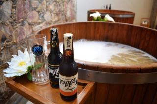 Casa Diamante Hotel Boutique - Mineral de Pozos - 7