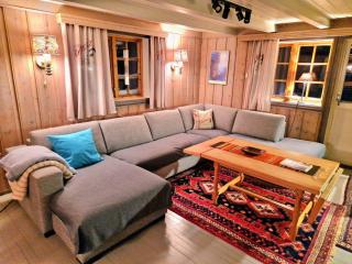 Trivelig og romslig hytte nær Røros, rikelig med uteplass - 4