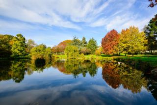 Cozy Apart Pontivy - Tout Confort - Wi-Fi - Centre-Ville - Nouveau - 3