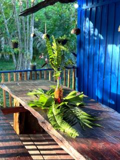 Hotel Arara Azul - 1