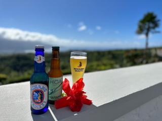 Altavista retreat, quietness near Teahupoo and Taravao - 9