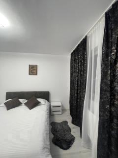 Twins Apartments - Sibiu - 8