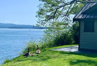 Ideal Beachfront Retreat Experience Gorgeous! - 3