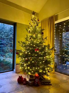 Forest Villa w pobliżu Suntago - 0