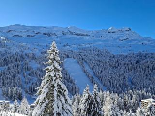 Appartement confortable au pied des pistes avec Wifi gratuit - FR-1-425-137 - 1